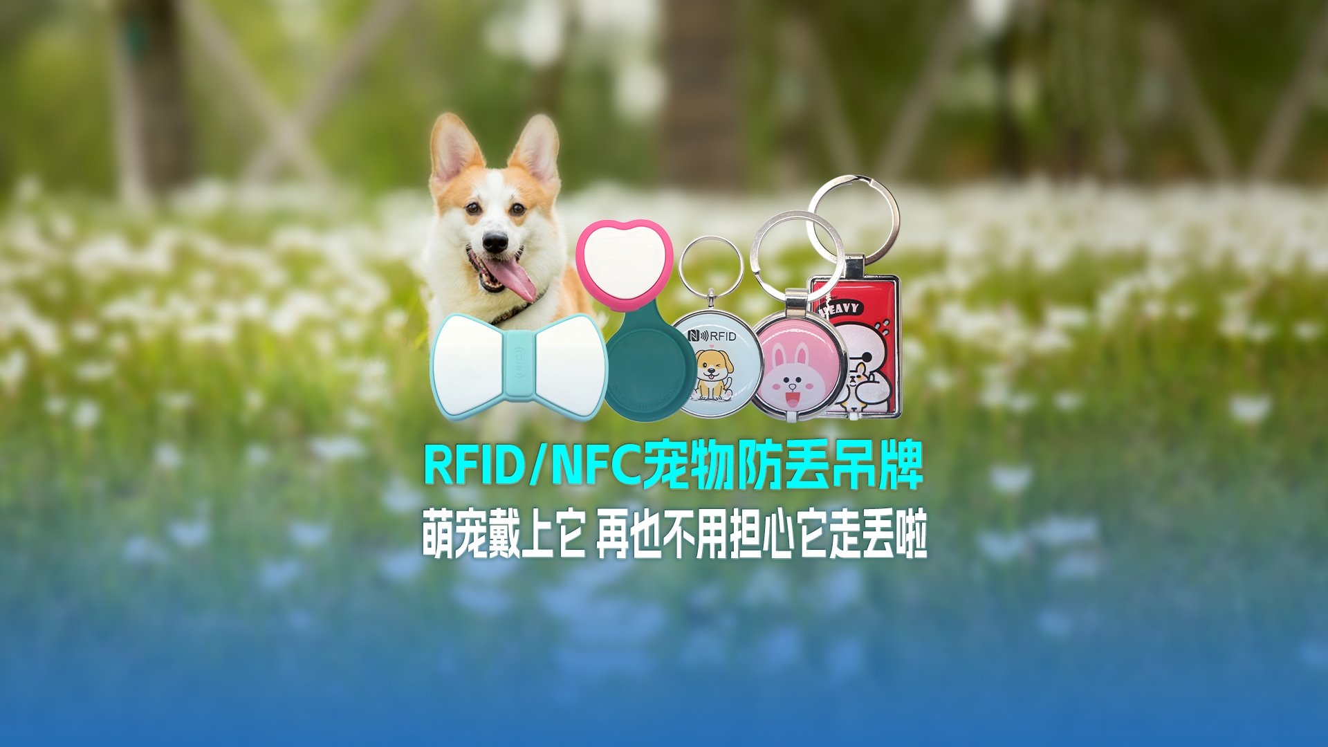 J9国际集团集团RFID宠物防丢吊牌：萌宠戴上它 再也不用担心它走丢啦