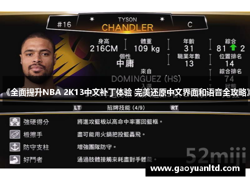 《全面提升NBA 2K13中文补丁体验 完美还原中文界面和语音全攻略》
