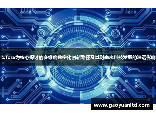 以Tora为核心探讨的多维度数字化创新路径及其对未来科技发展的深远影响